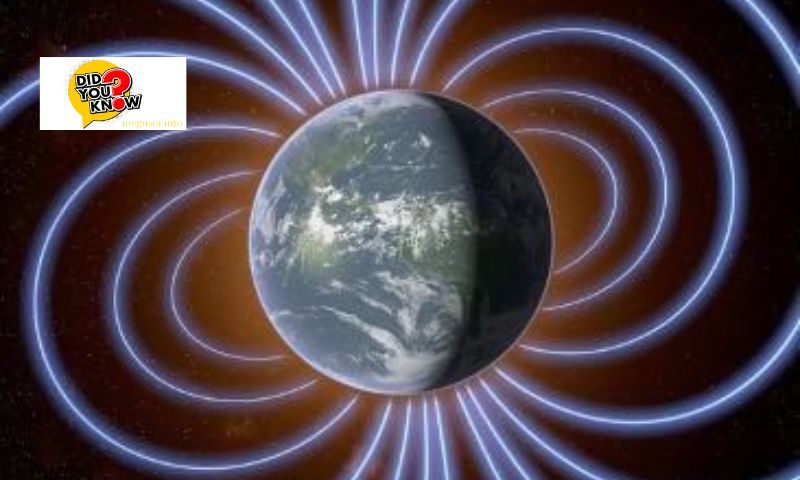 Potential Harm of Magnetic Fields