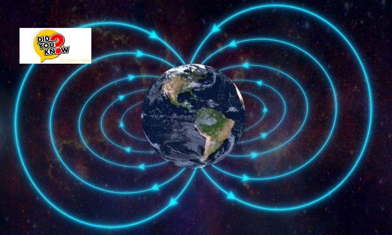 The harm of the magnetic field