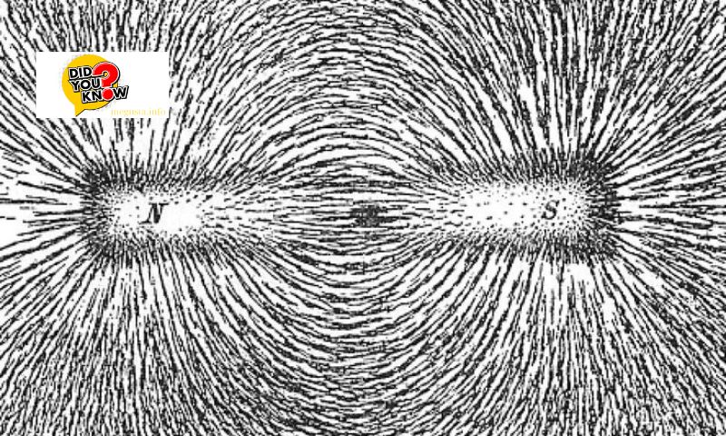 What is a Magnetic Field?