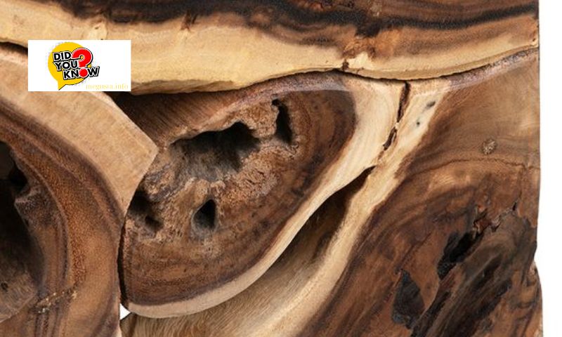 Factors Influencing Wood Prices